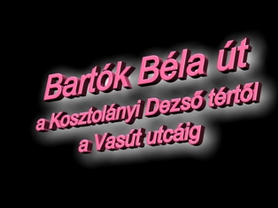 Bartok Bela ut 3