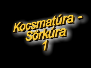 Thumbnail of 1kocsmatura_01.jpg