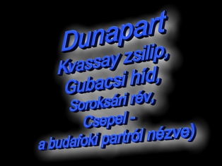 Dunapart 19