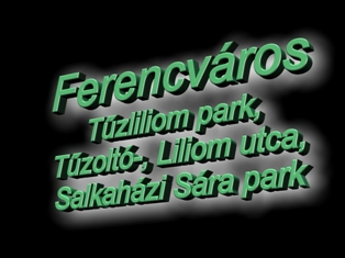 Ferencváros 11