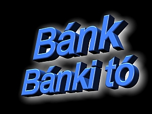 Thumbnail of bam_bank.jpg